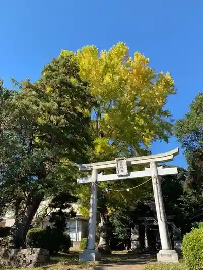 鶴舞神社の鳥居