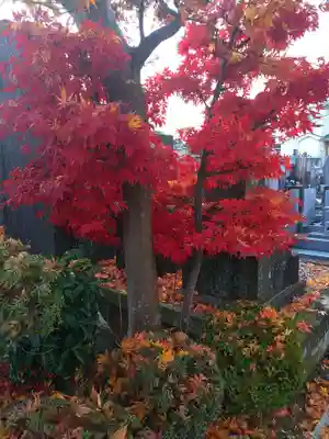 相即寺(東京都)