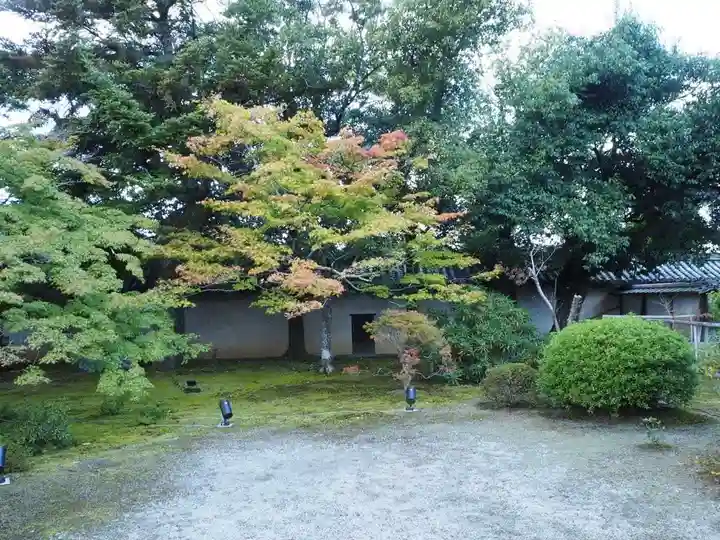 隨心院(随心院)(京都府)