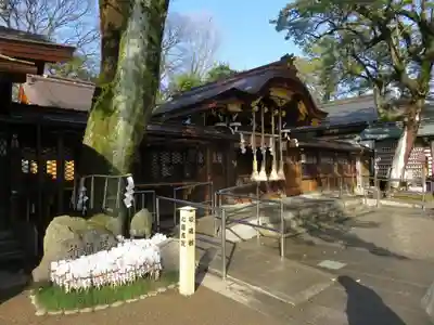 護王神社の本殿・本堂