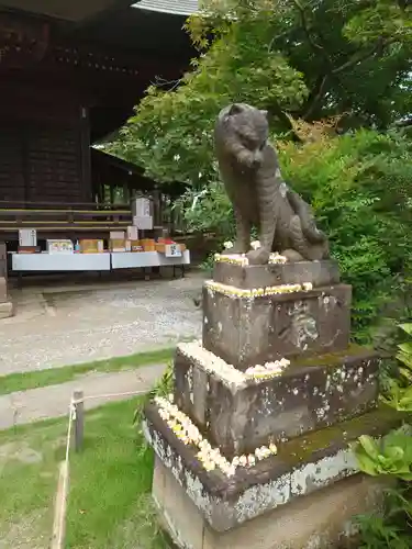 多聞院の狛犬