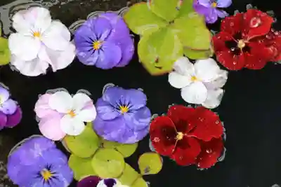 大鏑神社の手水舎