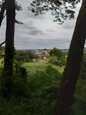 山之神神社(埼玉県)