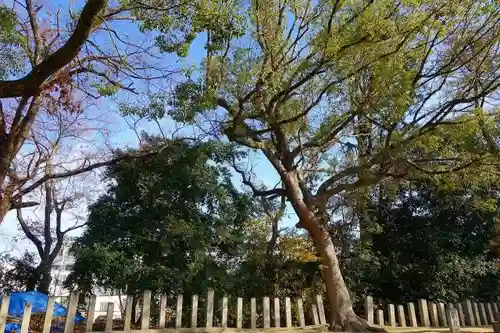 白鳥神社のその他建物