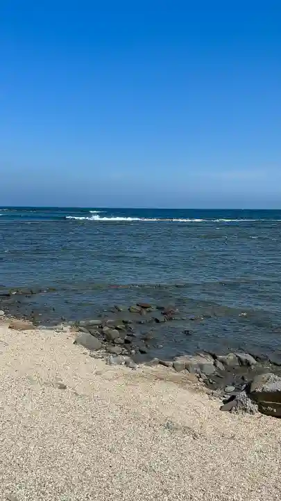 青島神社(青島神宮)(宮崎県)