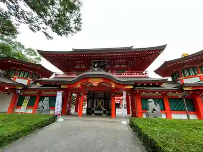 千葉神社の本殿・本堂