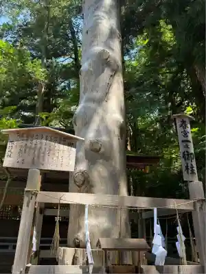 諏訪大社下社春宮(長野県)