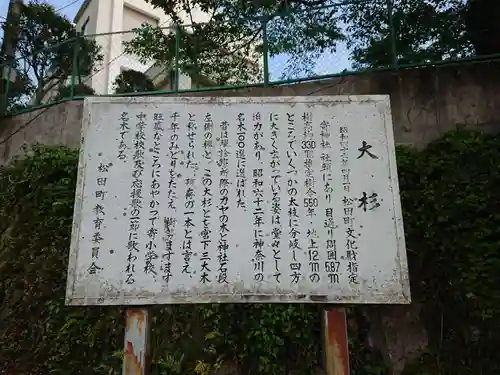 寄神社の歴史