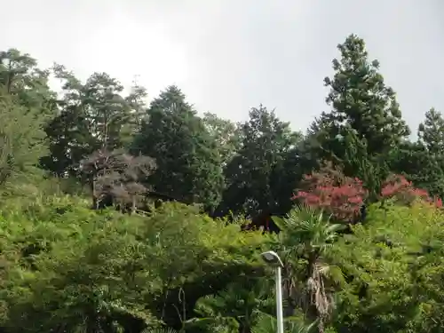 正福寺別当米山薬師堂(埼玉県)