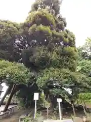 九重神社(埼玉県)