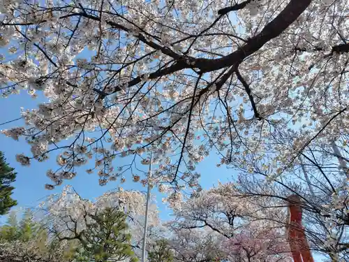 諏訪神社(宮城県)