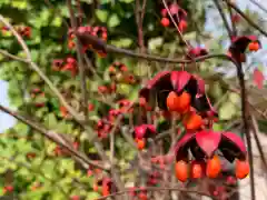 暎芳寺(岐阜県)