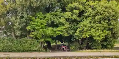 龍神社(奈良県)