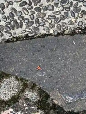 久度神社の自然