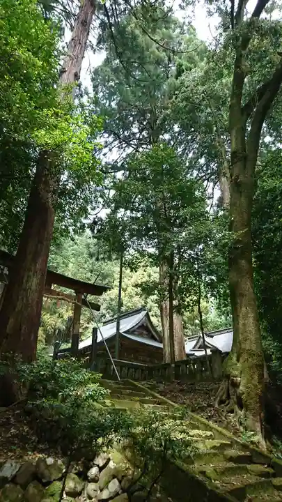 安波賀春日神社(福井県)