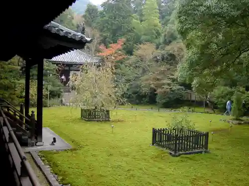 青蓮院門跡の庭園