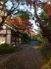 源光寺（回向院市川別院）の建物その他