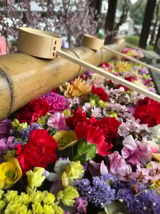 群馬県護国神社(群馬県)