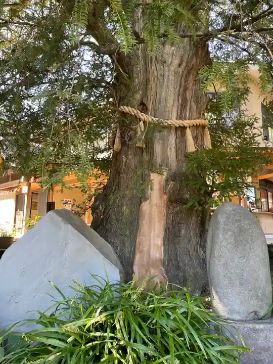瀬戸神社(神奈川県)