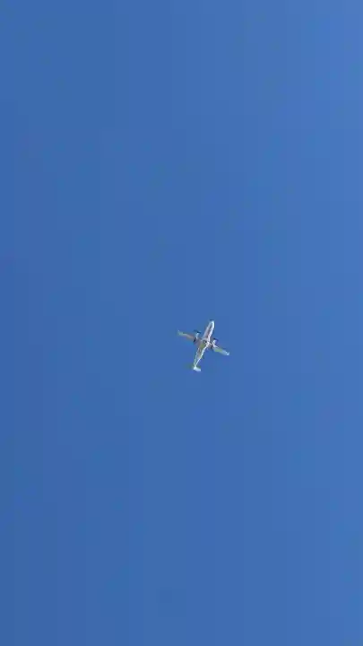 亀田龍神社(北海道)