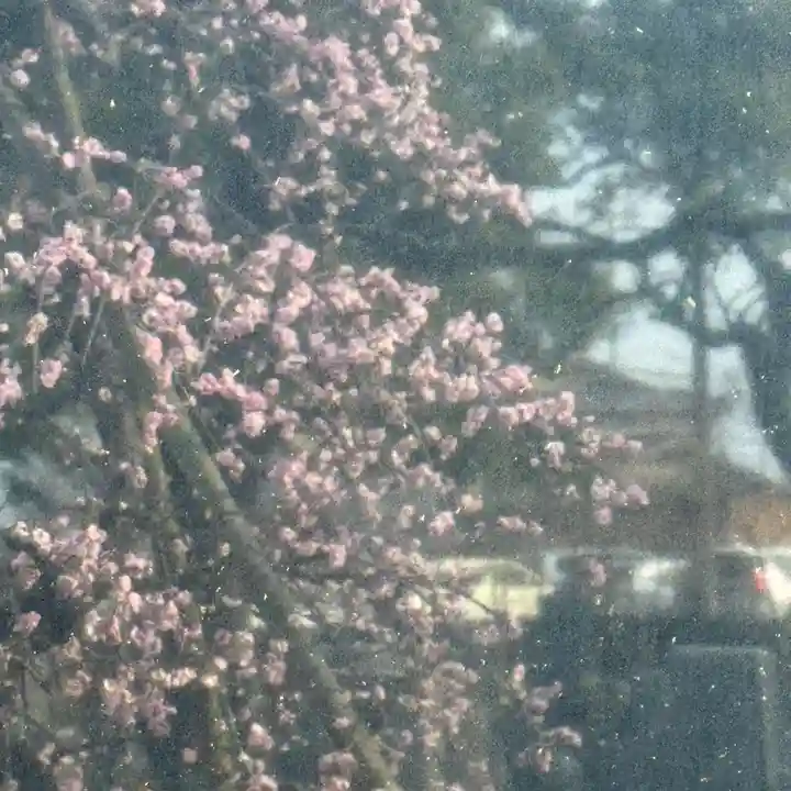 伊勢の国 四天王寺(三重県)
