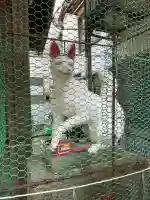 烏巣之森稲荷大明神(神奈川県)