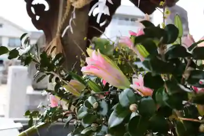 三津厳島神社(愛媛県)