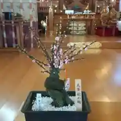 彌彦神社　(伊夜日子神社)(北海道)