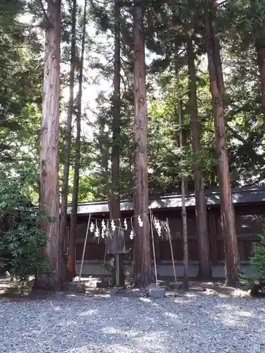 琴似神社の自然