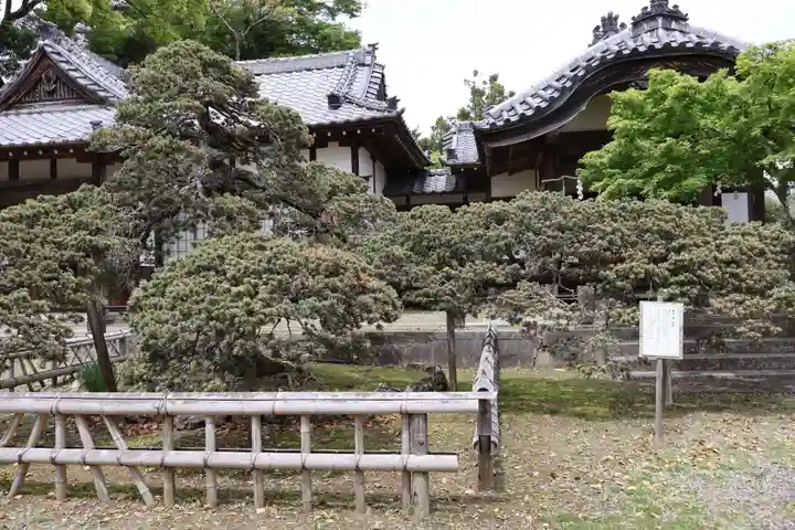 玉前神社(千葉県)