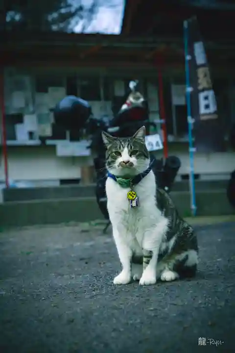 正一位 若草稲荷神社(宮城県)