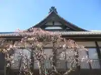 昌原寺(静岡県)