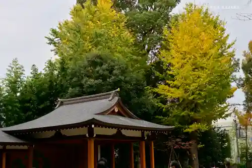 阿佐ヶ谷神明宮の自然