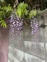 豊康龍神(京都府)