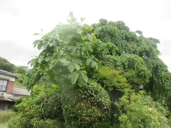 龍泉寺(神奈川県)