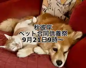 国上寺(新潟県)(2025年09月20日(土) 08時53分21秒投稿)