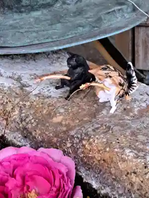 都波岐奈加等神社(三重県)