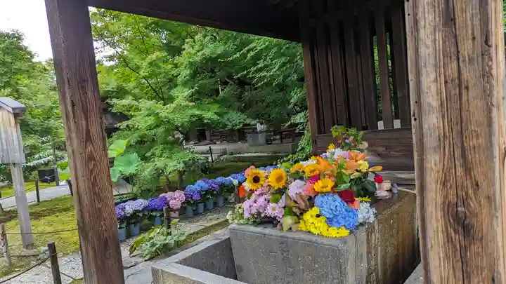 勝林寺(京都府)