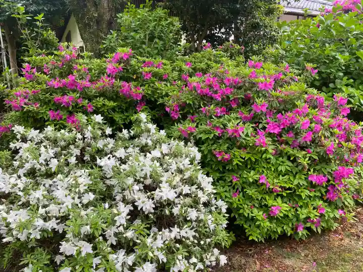 矢田寺観音堂の{uncategorized: "未分類", other: "その他", undefined: "問題あり", building: "その他建物", grave: "お墓", sacred_gate: "鳥居", guardian: "狛犬", statue: "像", buddha: "仏像", history: "歴史", nature: "自然", garden: "庭園", animal: "動物", pagoda: "塔", temizu: "手水舎", mountain_gate: "山門・神門", sanctuary: "本殿・本堂", subordinate: "末社・摂社", art: "芸術", scenery: "景色", jizo: "地蔵", ema: "絵馬", goshuin: "御朱印", omikuji: "おみくじ", items: "授与品その他", amulet: "お守り", goshuincho: "御朱印帳", eats: "食事", festival: "お祭り", votive_dance: "神楽", shichigosan: "七五三参", wedding: "結婚式", experience: "体験その他", initially: "初詣", around: "周辺", anti_infection: "感染症対策"}