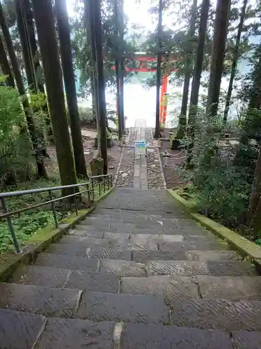 箱根神社の景色