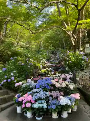 長谷寺(奈良県)