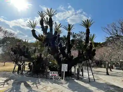 綱敷天満宮の自然