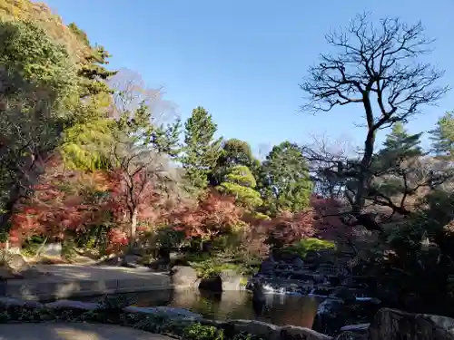 寒川神社(神奈川県)