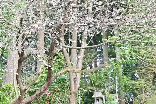 旦飯野神社(新潟県)