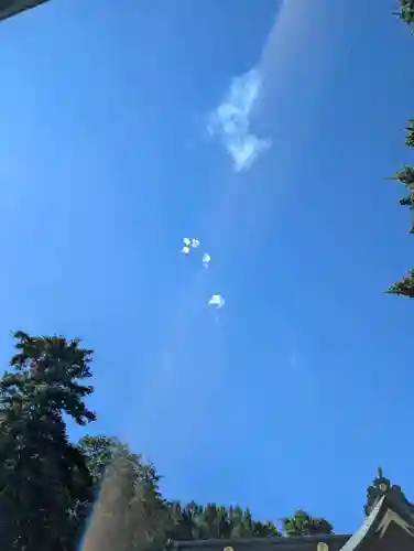 大國魂神社(東京都)