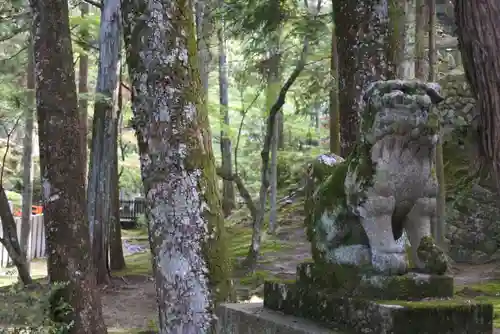 霊山寺の狛犬