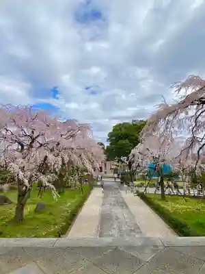 東郷寺(東京都)