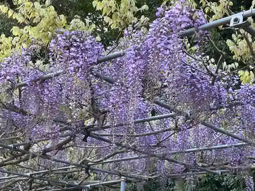 大生郷天満宮の庭園