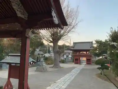 観行院(千葉県)