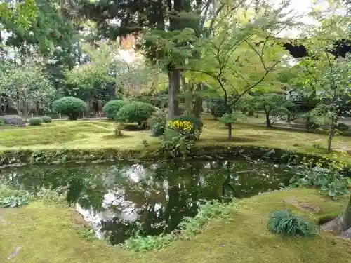 廣隆寺の庭園